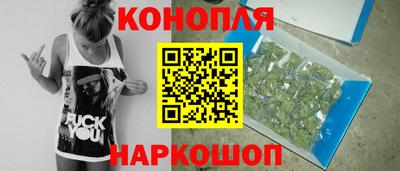 гидропоника Пугачёв