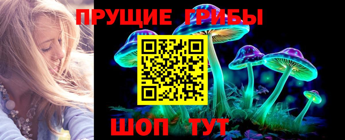 Псилоцибиновые грибы GOLDEN TEACHER Омск