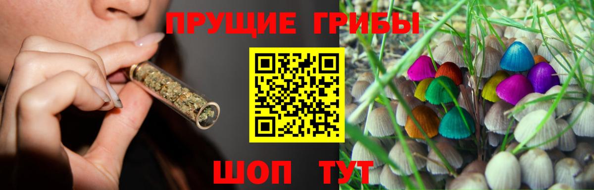 Галлюциногенные грибы мухоморы  Галлюциногенные грибы Psilocybe  купить закладку  Вход с VPN  Омск 