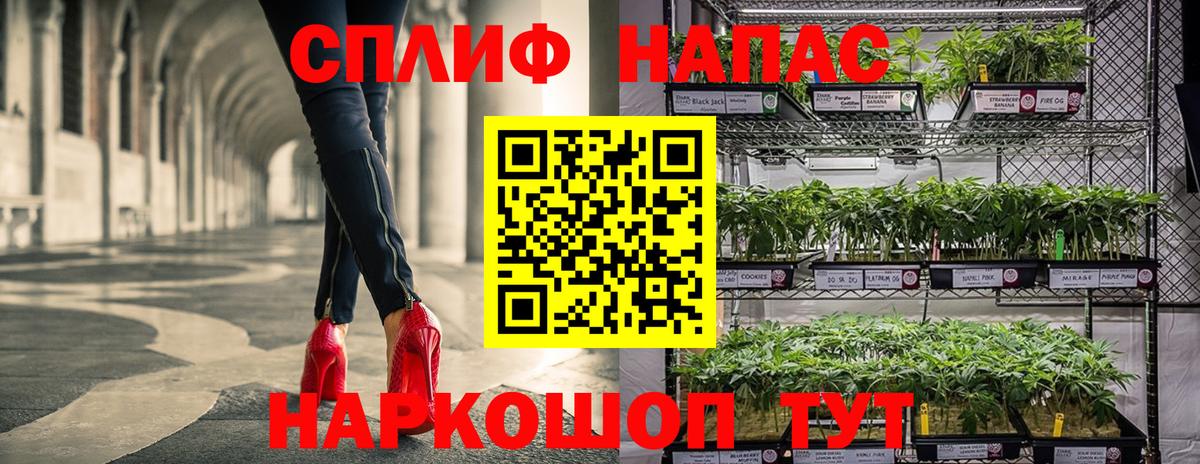 МЕФ Омск